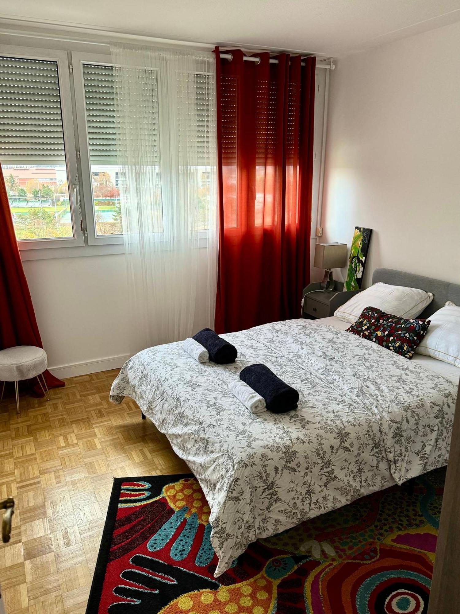 Bergson Top - Appart 80M2, 2 Grandes Chambres, Entierement Renovee Et Equipee, Lumineux, Wifi, Balcon, Calme, Vue Imprenable Saint-Etienne  Eksteriør bilde